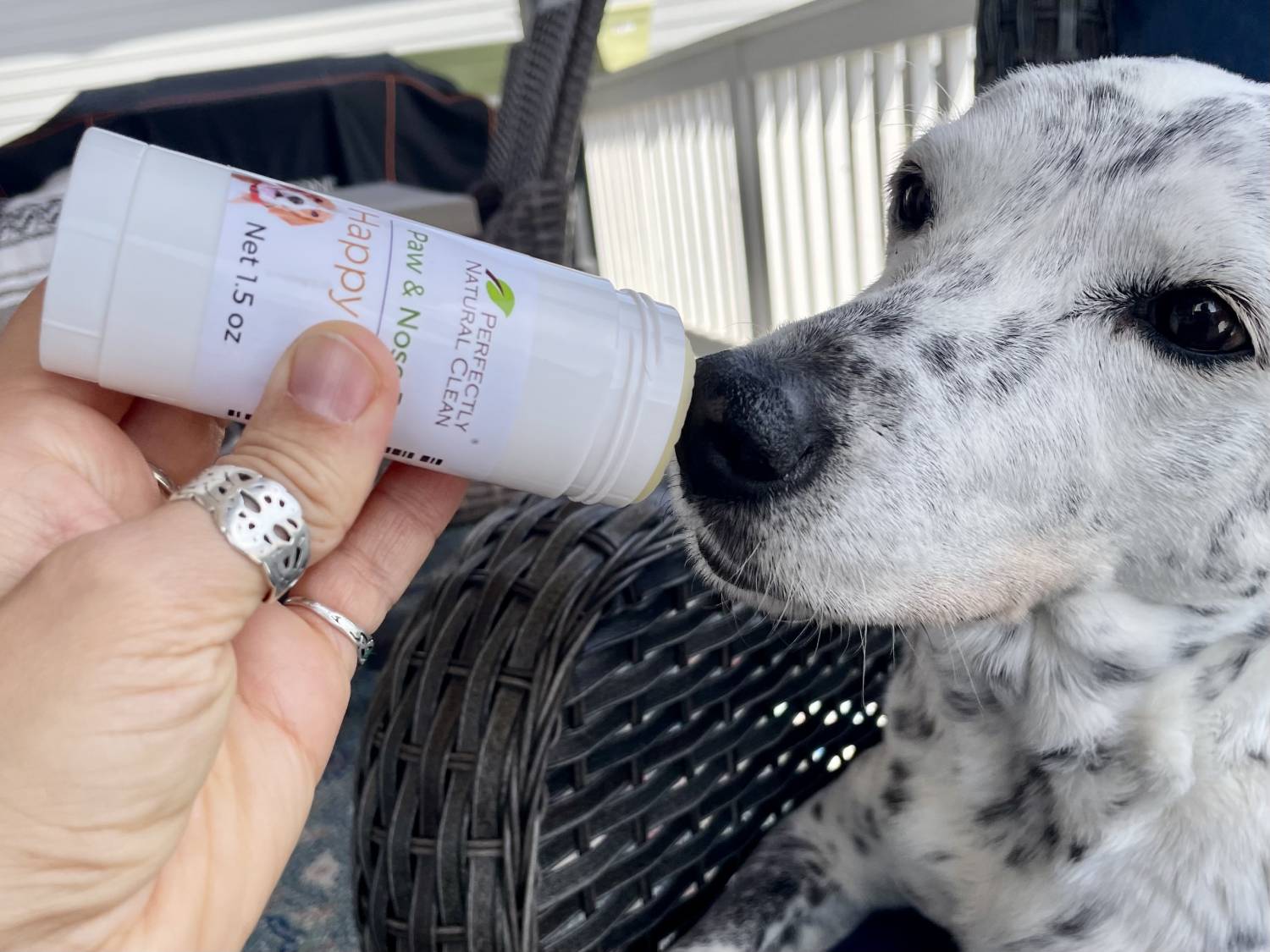 Perfectly Natural Soap's Good Dog Grooming Starter Set Review - using lotion on nose