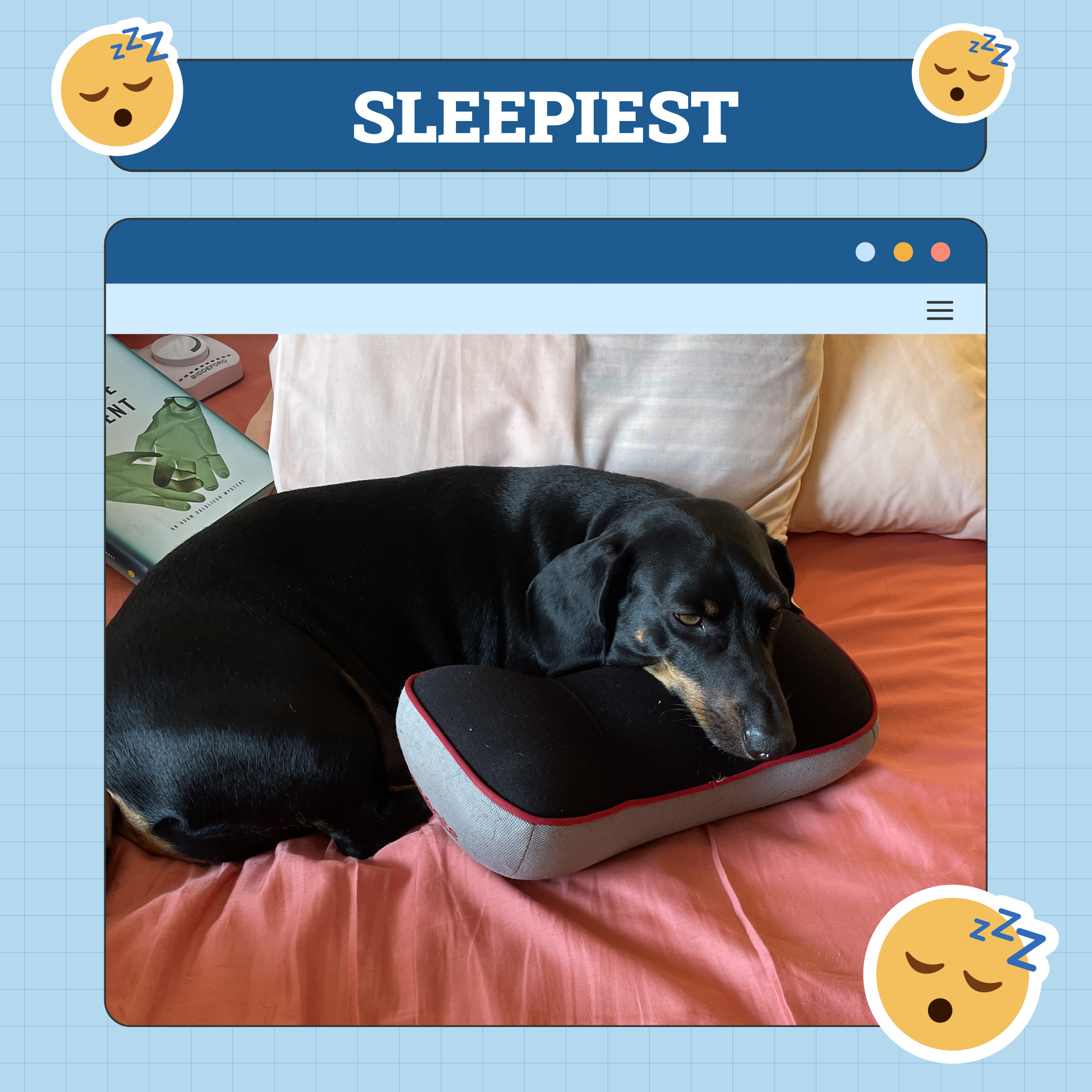 Slaperige hond