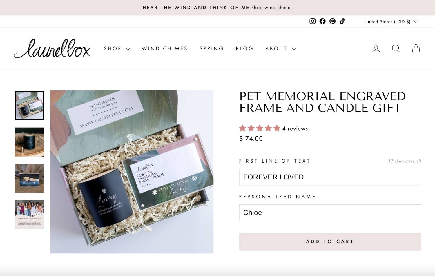 laurelbox Pet Memorial Gift Review - personalization page