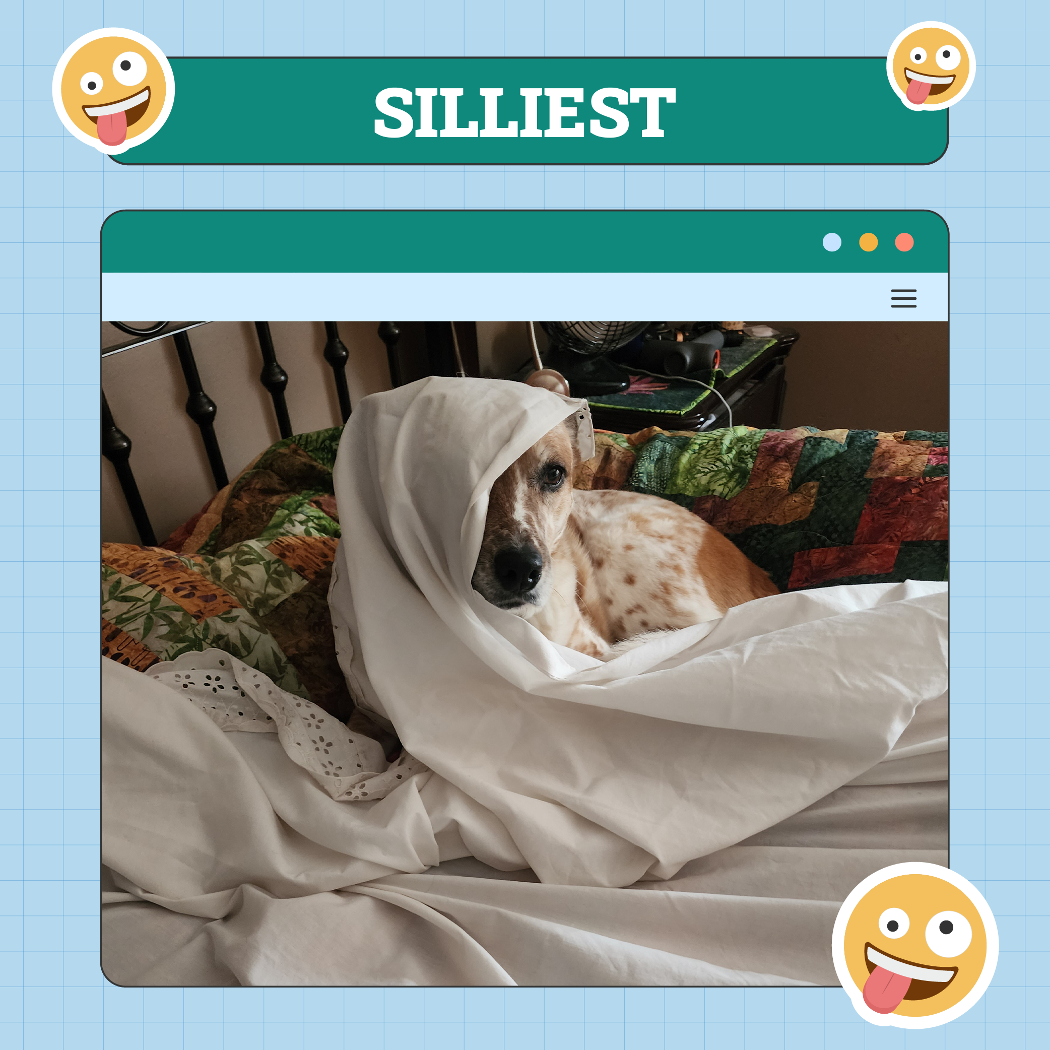 Dog Silliest