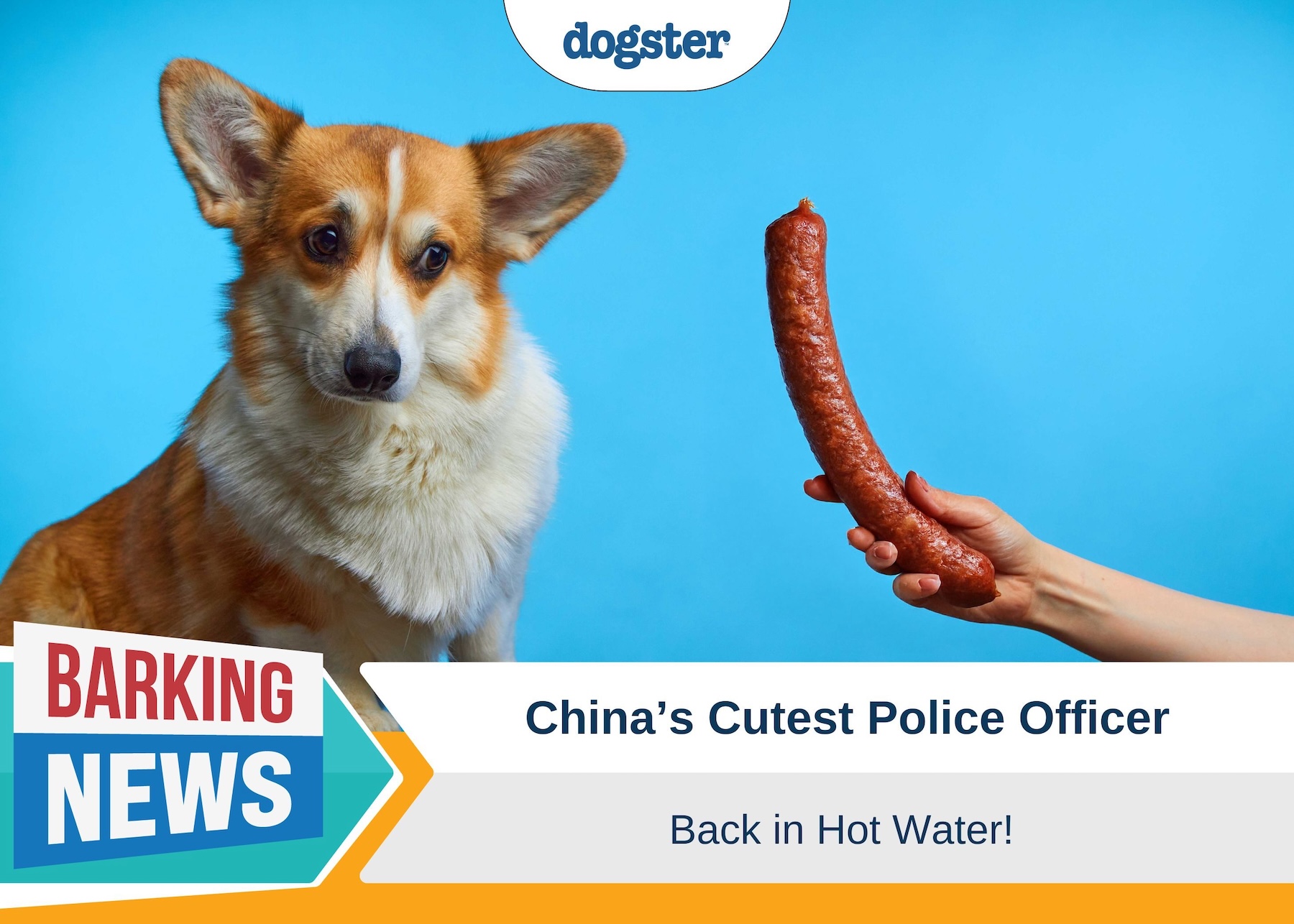 Dogster_Barking News China's Cutest Police Officer