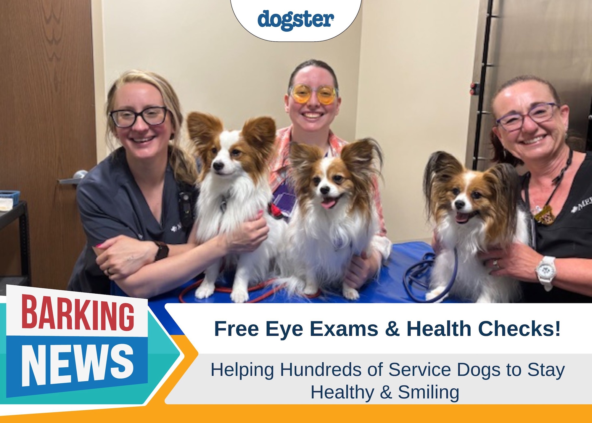 Barking News Free Eye Exams and Health Checks