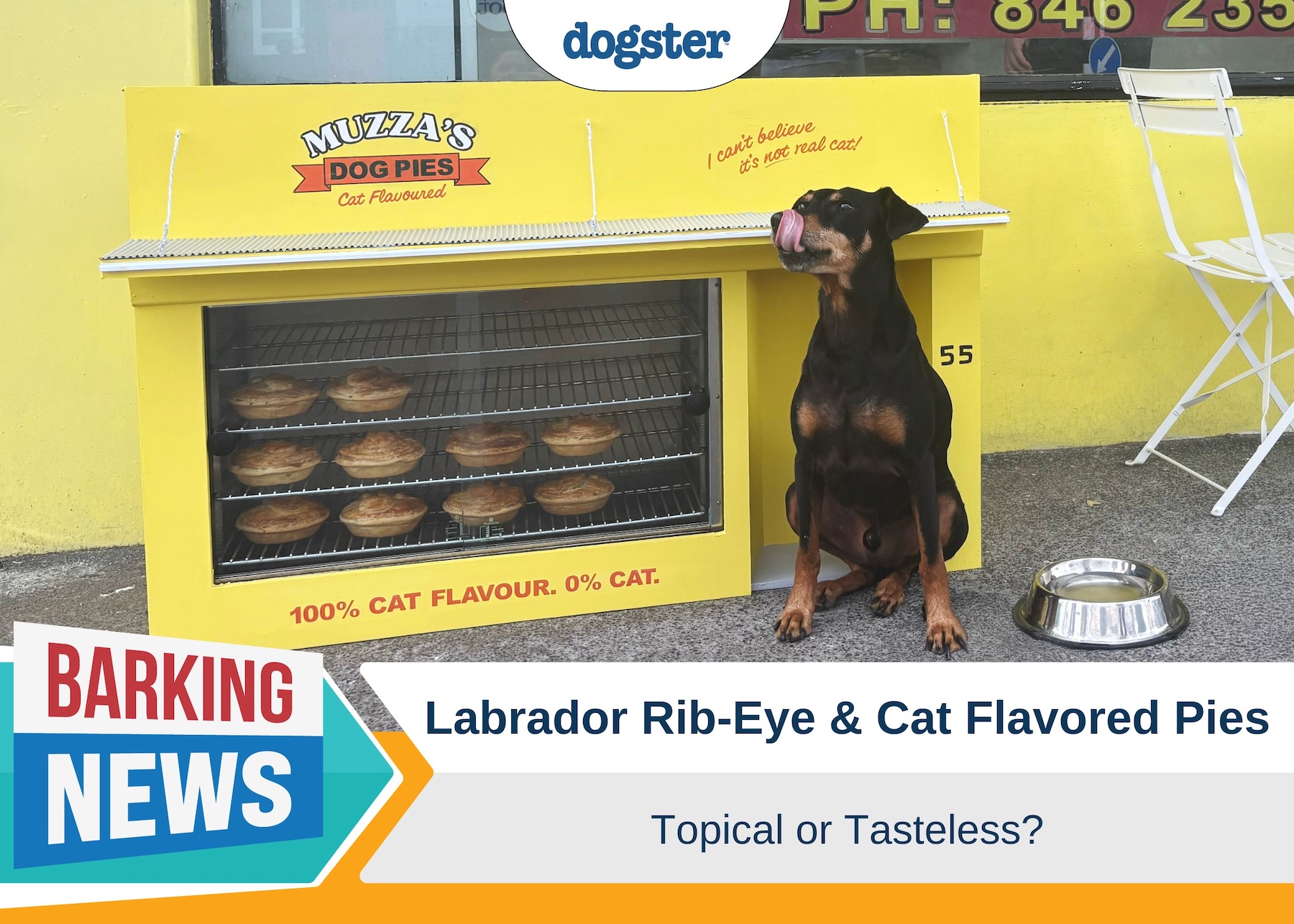 Barking News Muzzas cat pies