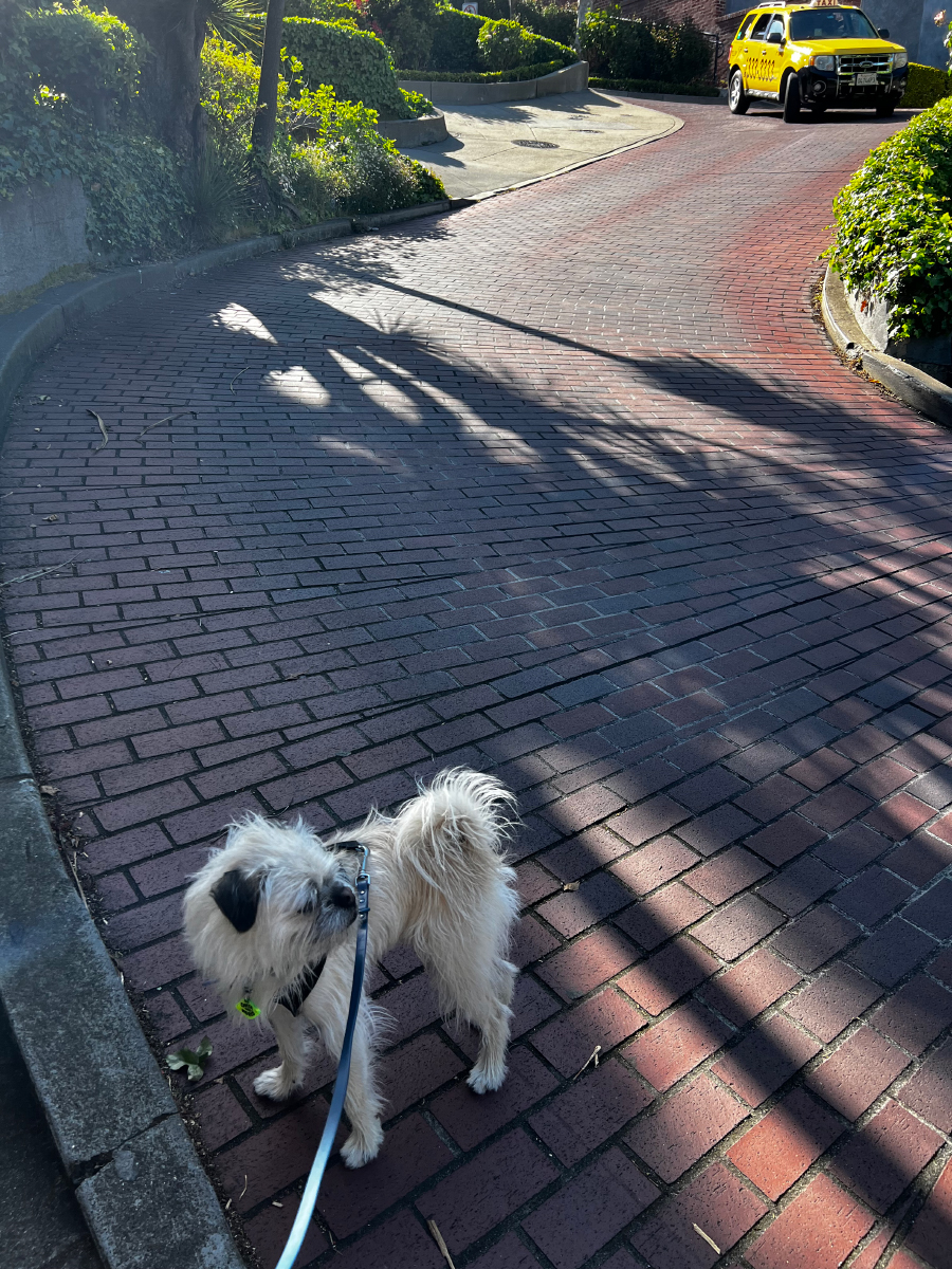 Gizmo on Lombard Street