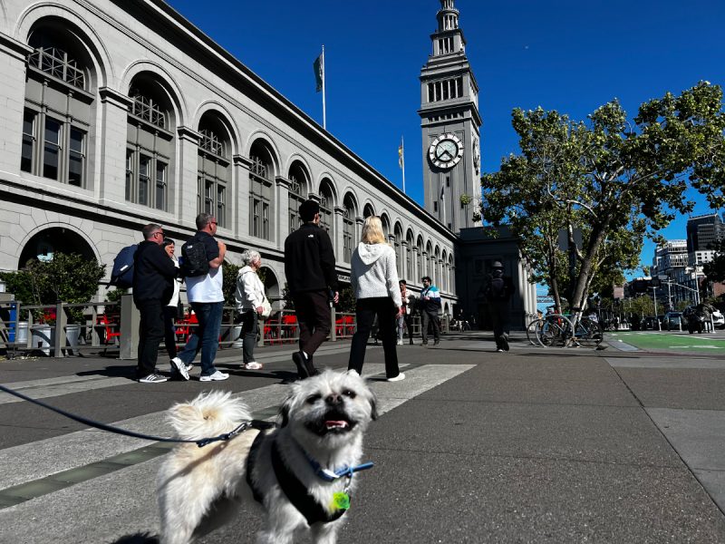 Gizmo outside the ferry building