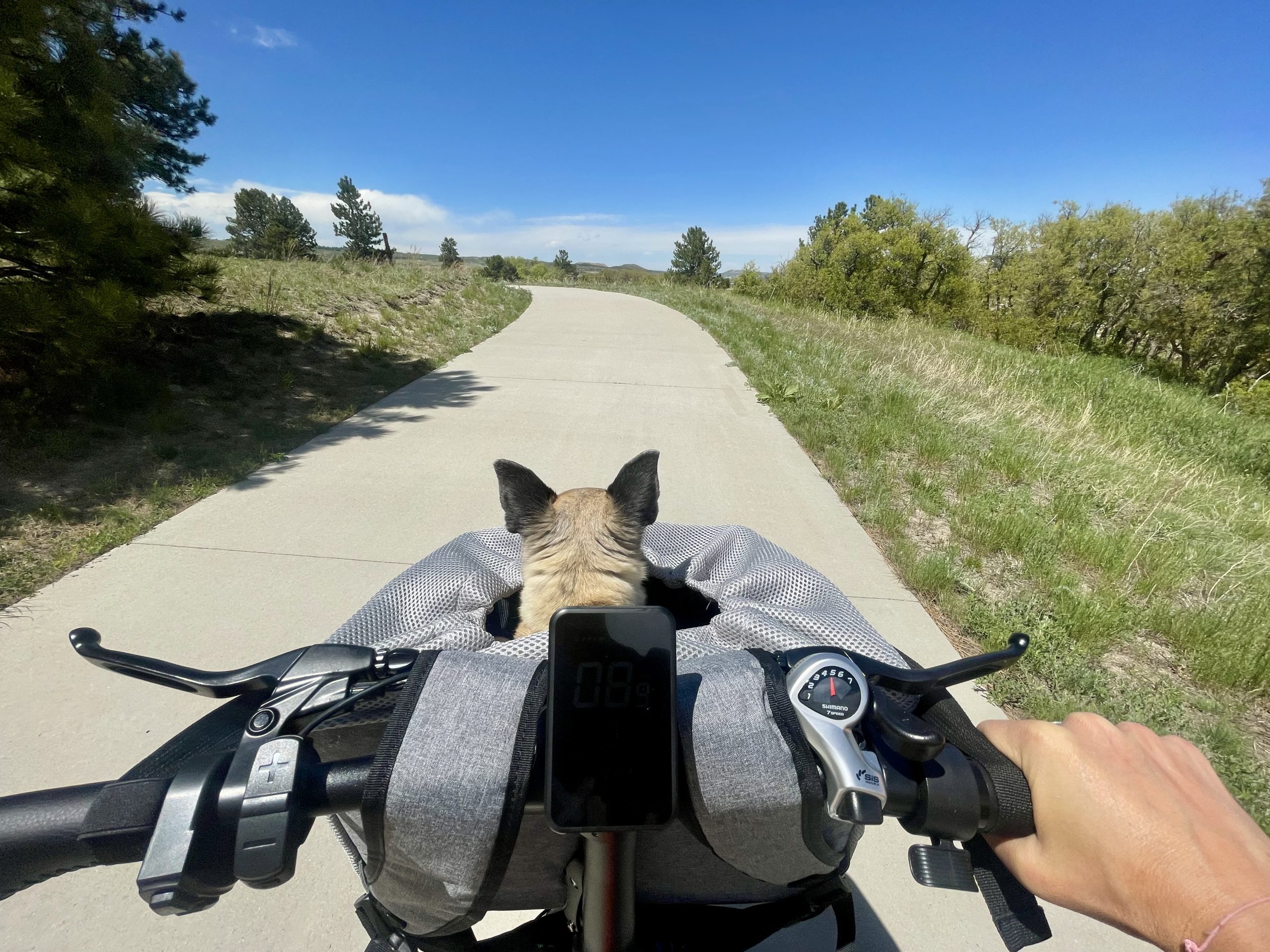 Heybike Mars 2.0 pet basket