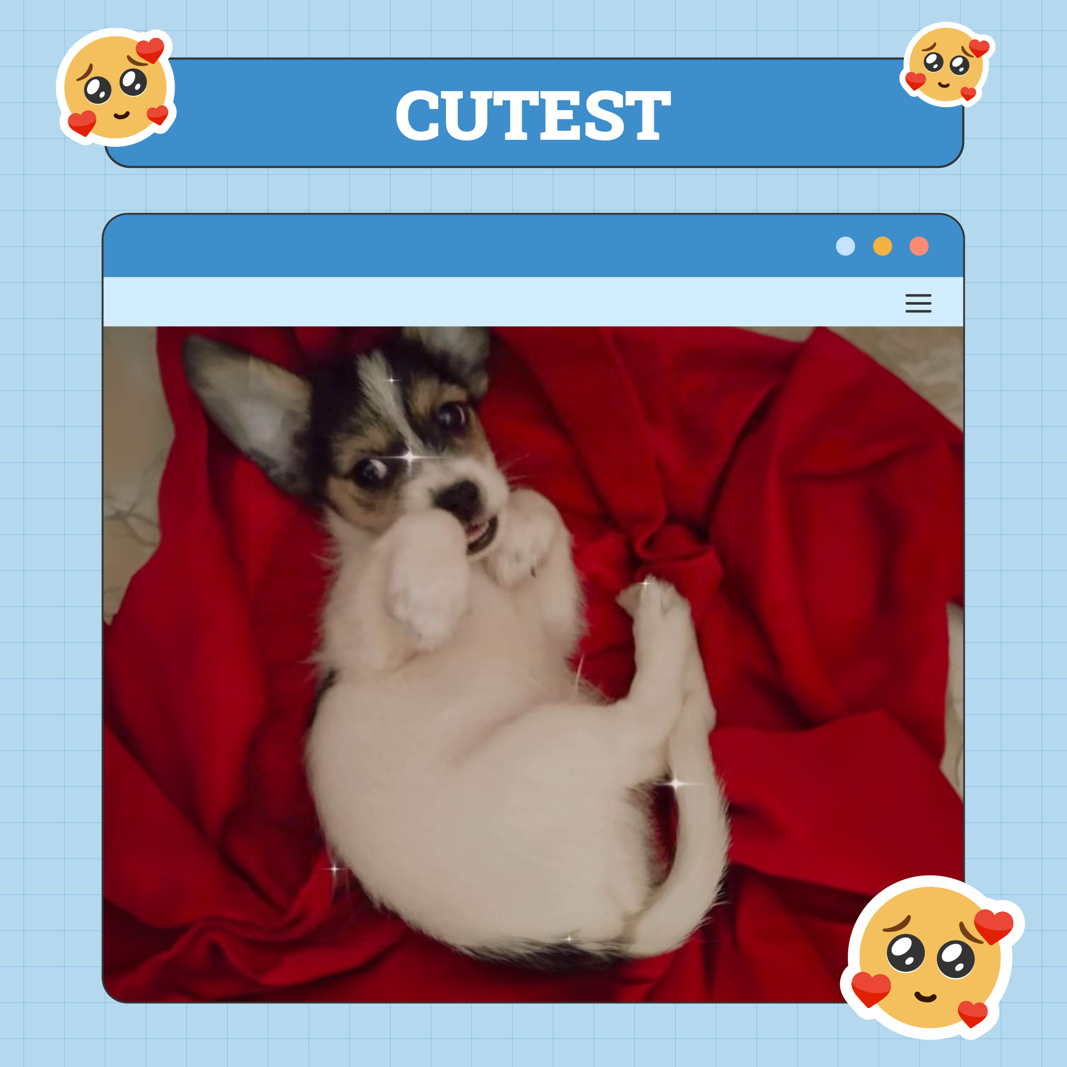 Most Cutest