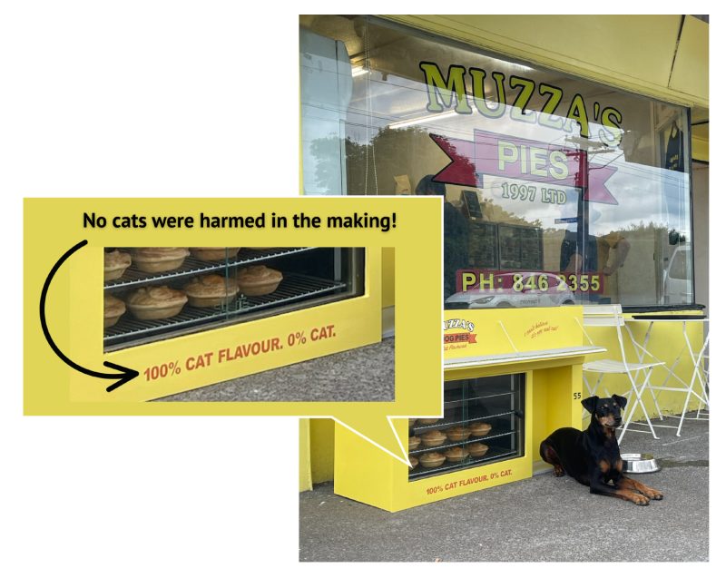 No cats were harmed in the making!