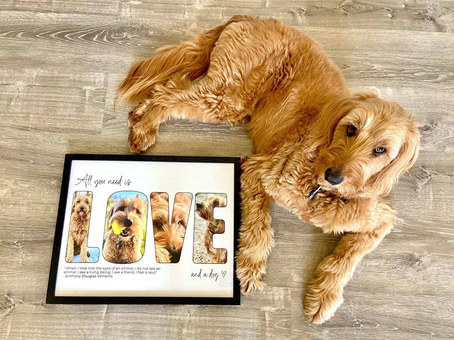 Positive Prints Letter Photo Collage Review - Micah with frame on the floor
