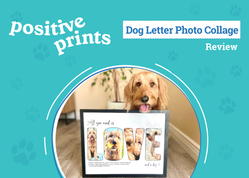 Positive Prints Letter Photo Collage Review - featured image