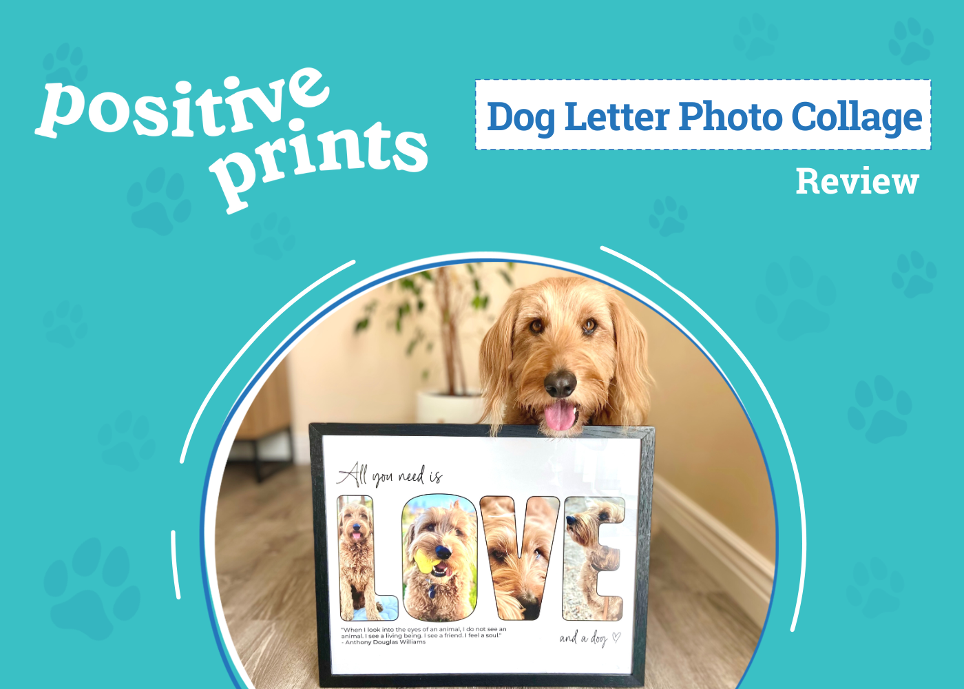 Positive Prints Letter Photo Collage Review - featured image
