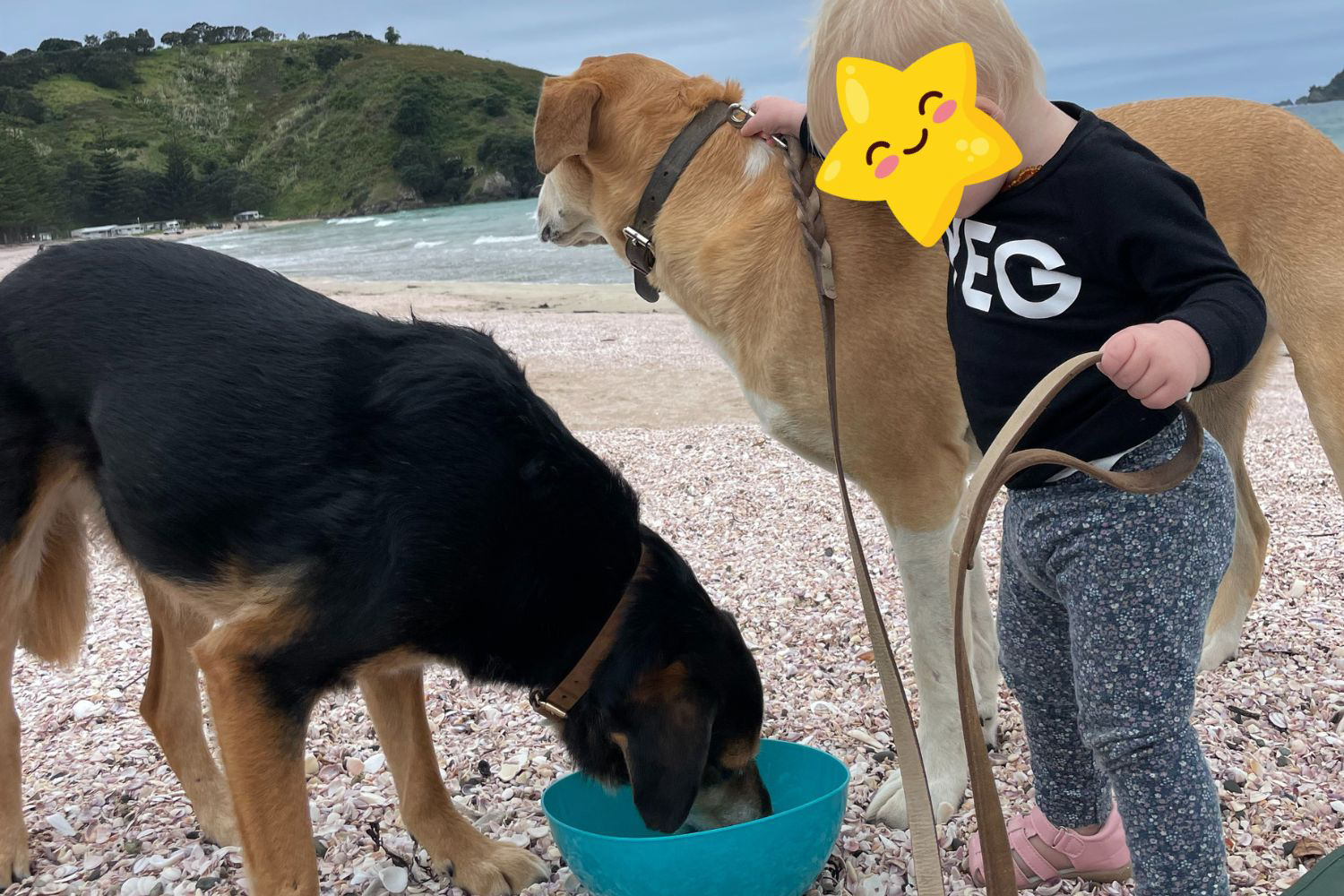 Rosa and Mac at the beach with Nicole's daughter