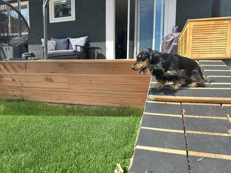 Rue on deck ramp
