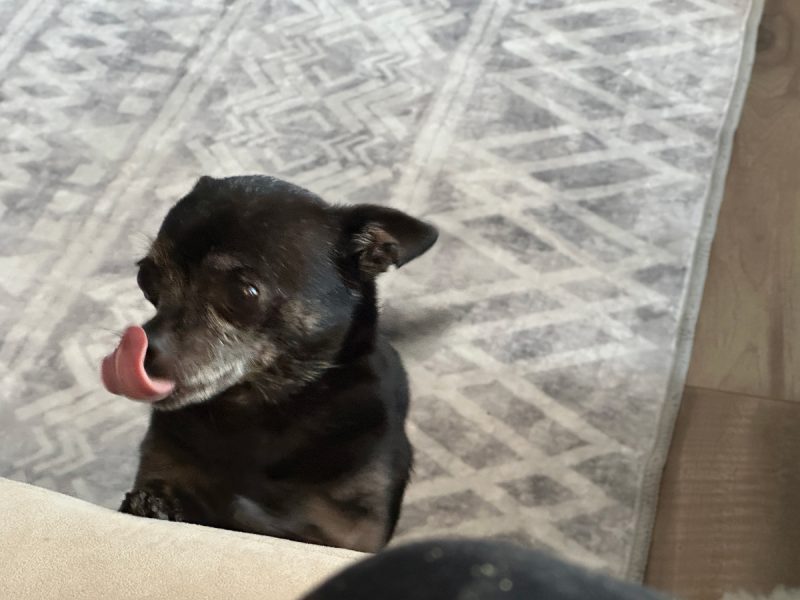 Subi licking her mouth
