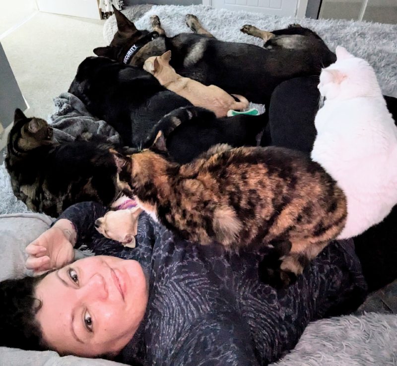 Things can get pretty crowded