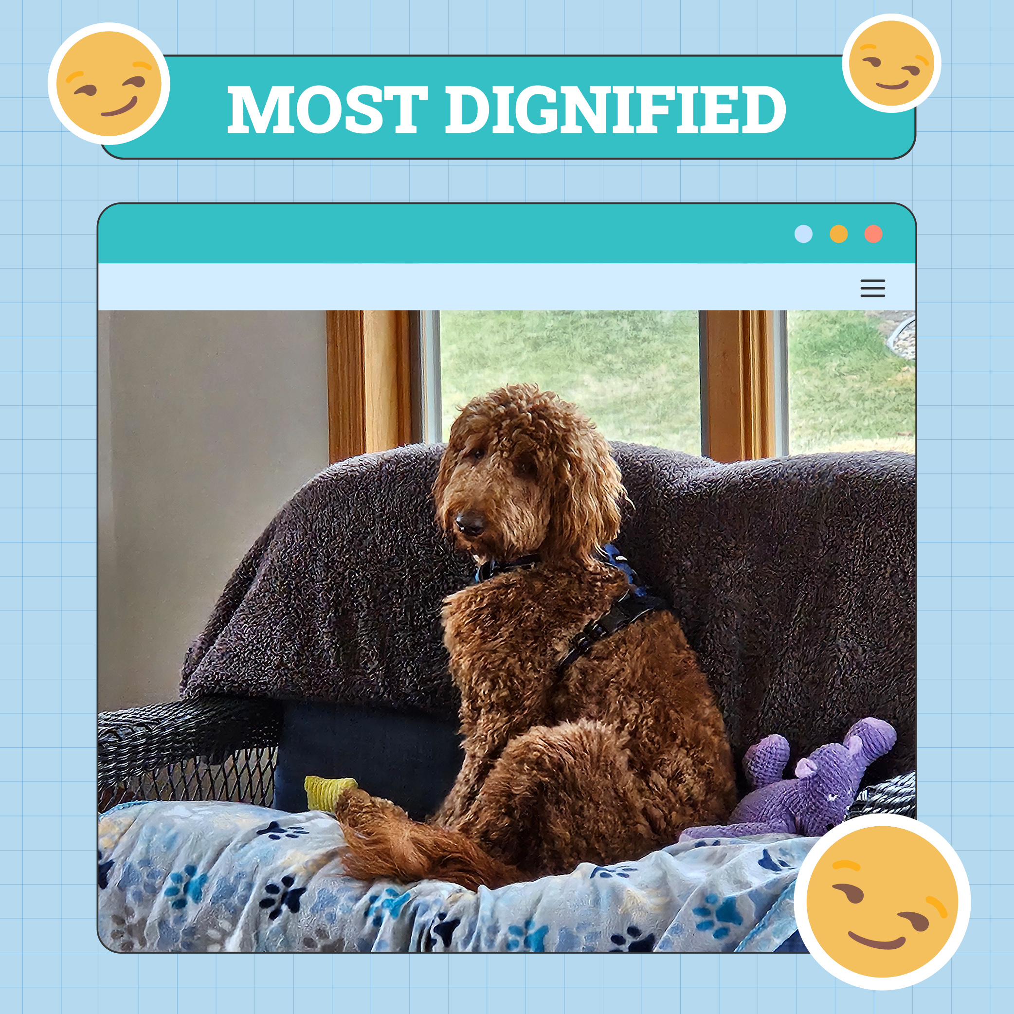 cooper_stal_dignied