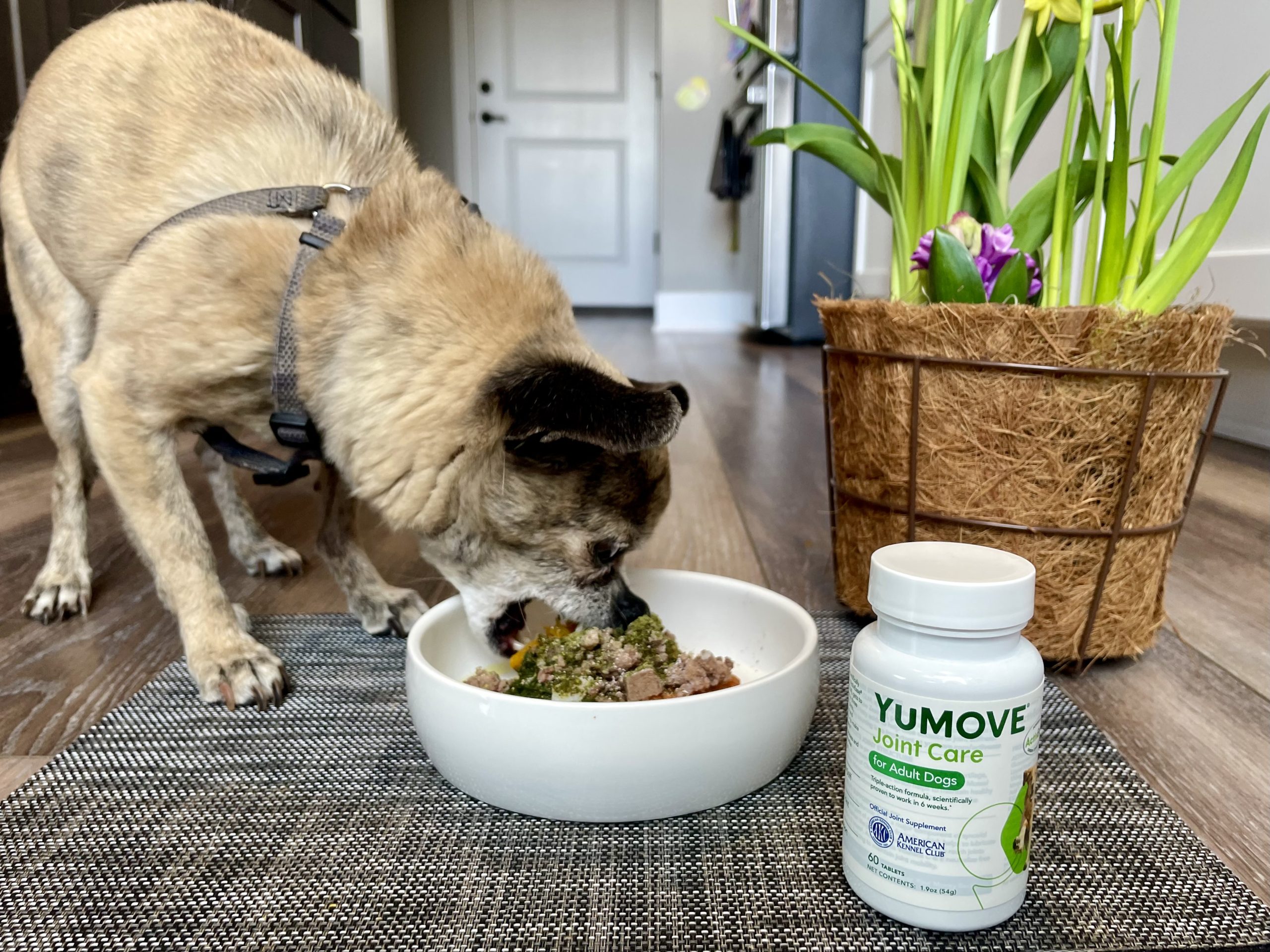 Vetnique YuMOVE Dog Supplements 16