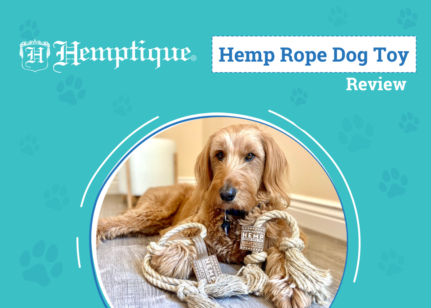 DOG_SAPR_Hemptique Hemp Rope Dog Toy