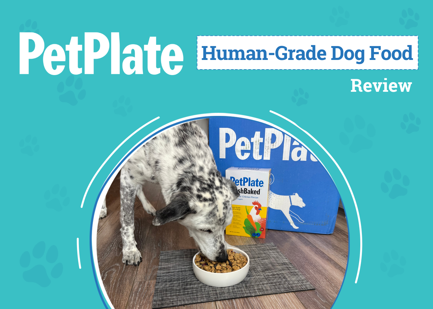 DOG_SAPR_PetPlate Human-Grade Dog Food