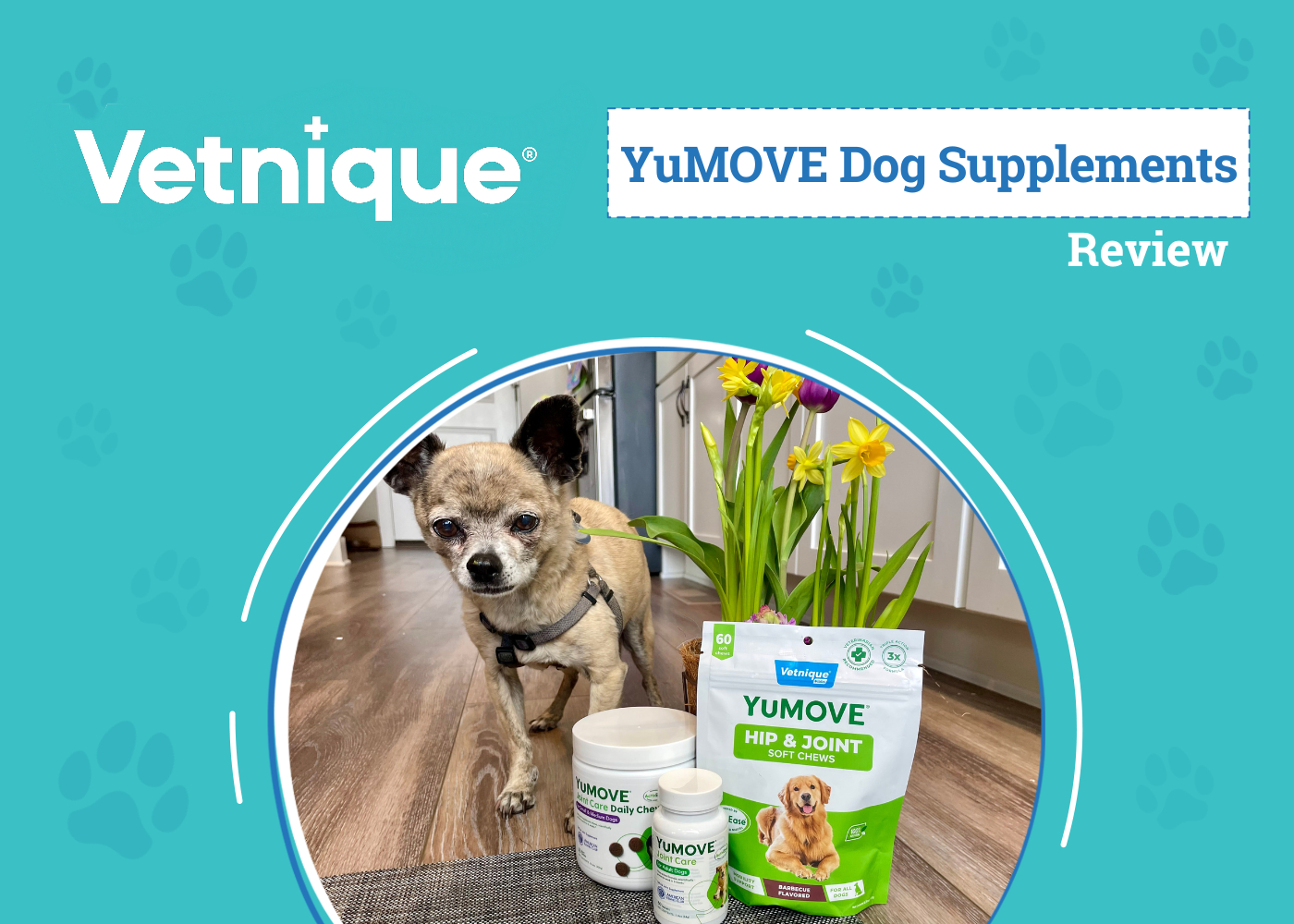 DOG_SAPR_Vetnique YuMOVE Dog Supplements (1)