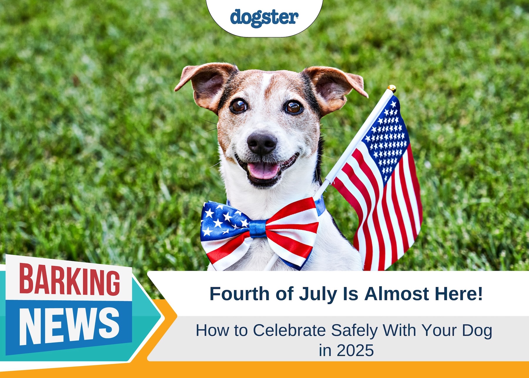 Barking News Safe Fourth of July 2025