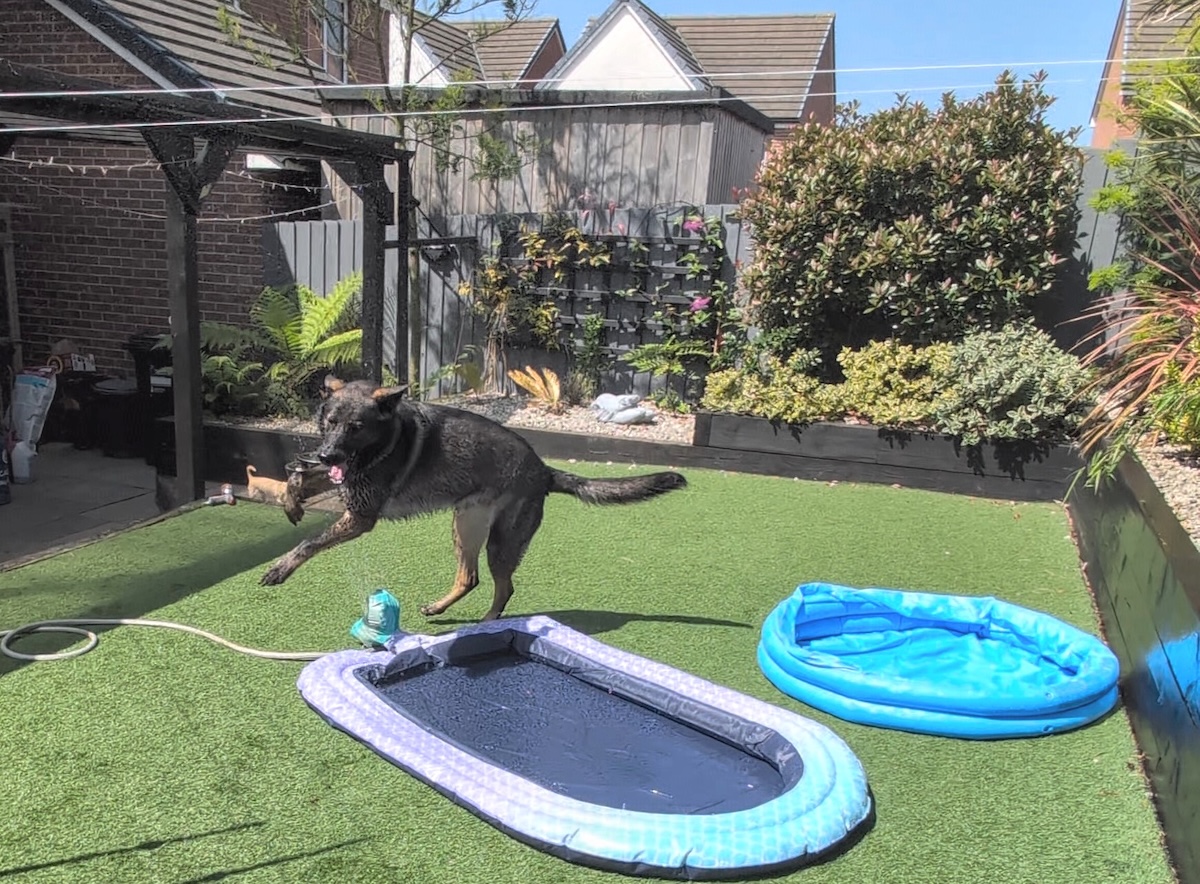 Kodah playing with his inflatable pool