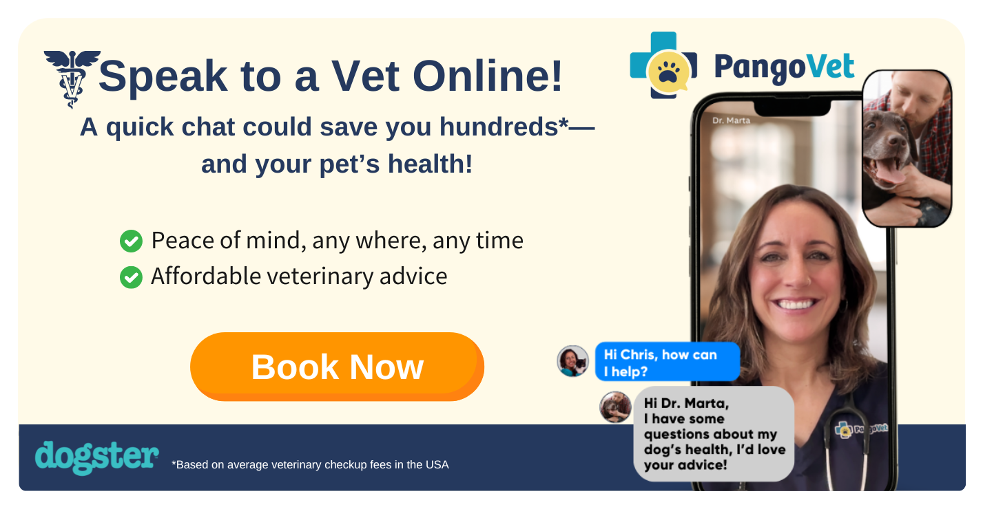 PangoVet_Mention-in-Content Savings V1