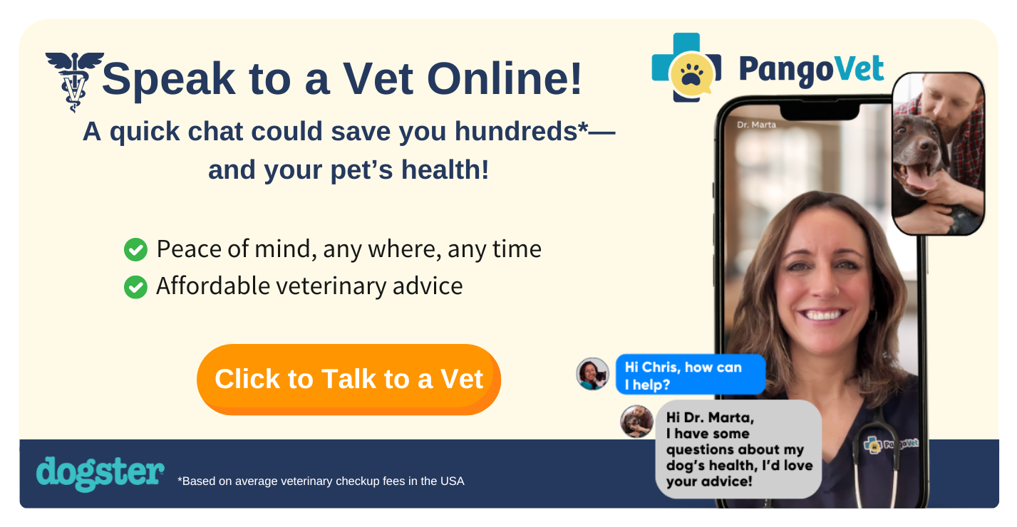 PangoVet_Mention-in-Content Savings Sale