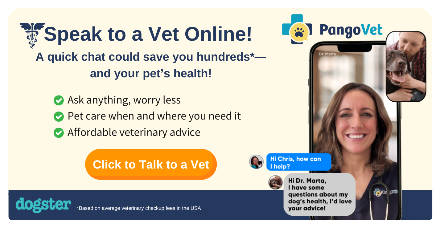 PangoVet_Mention-in-Content Savings Sale