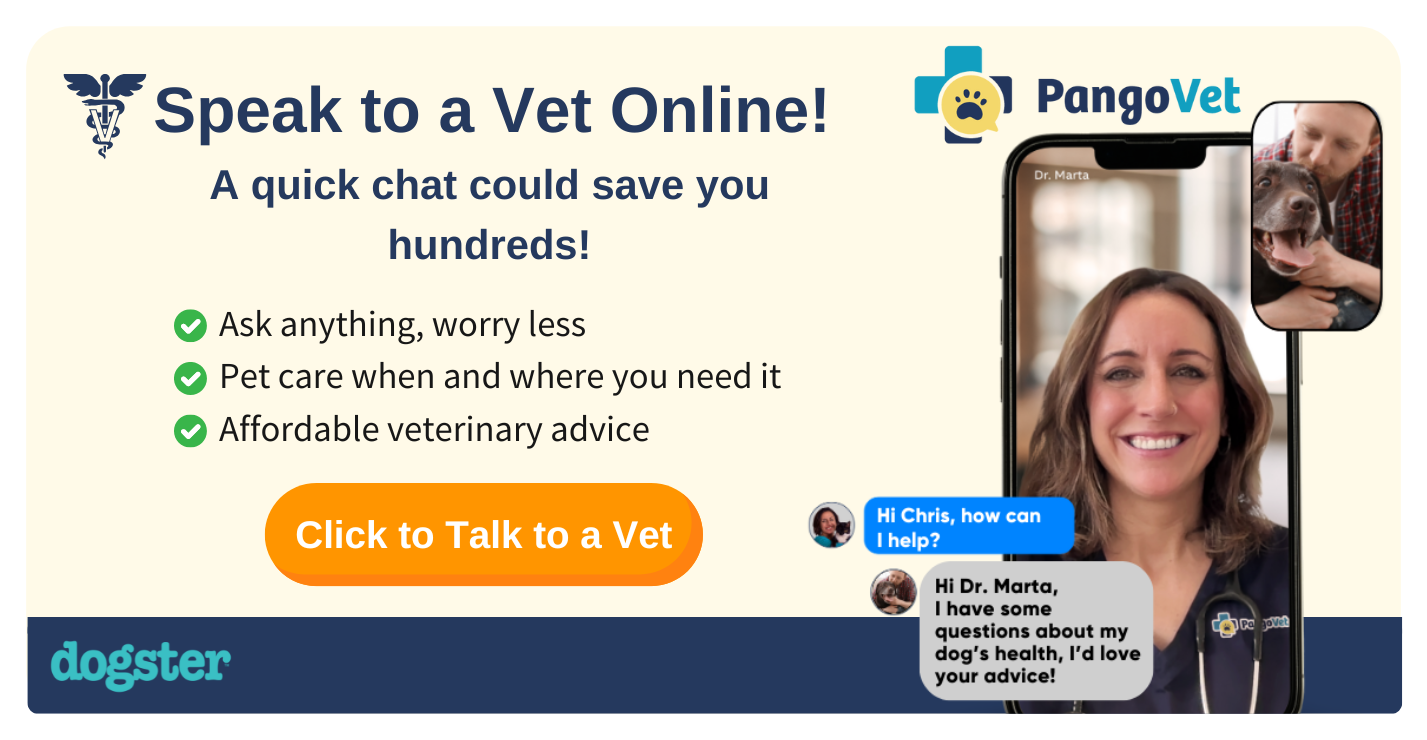 PangoVet_Mention-in-Content Savings Sale