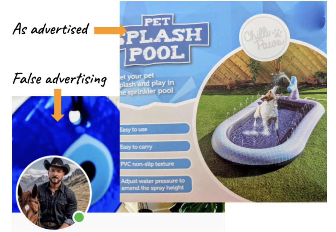 Pool as advertised, neighbor not so much.