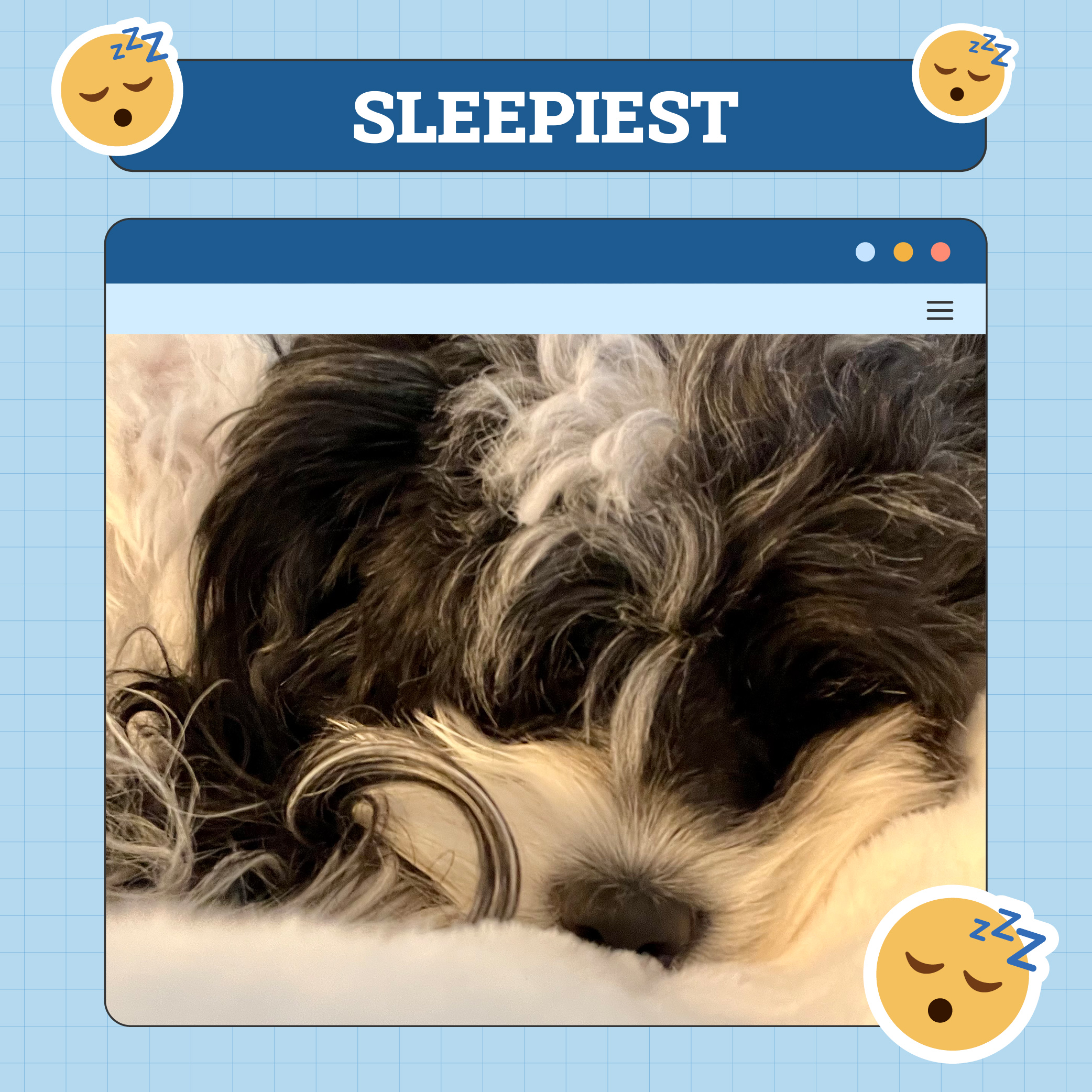 sleepiest june 5