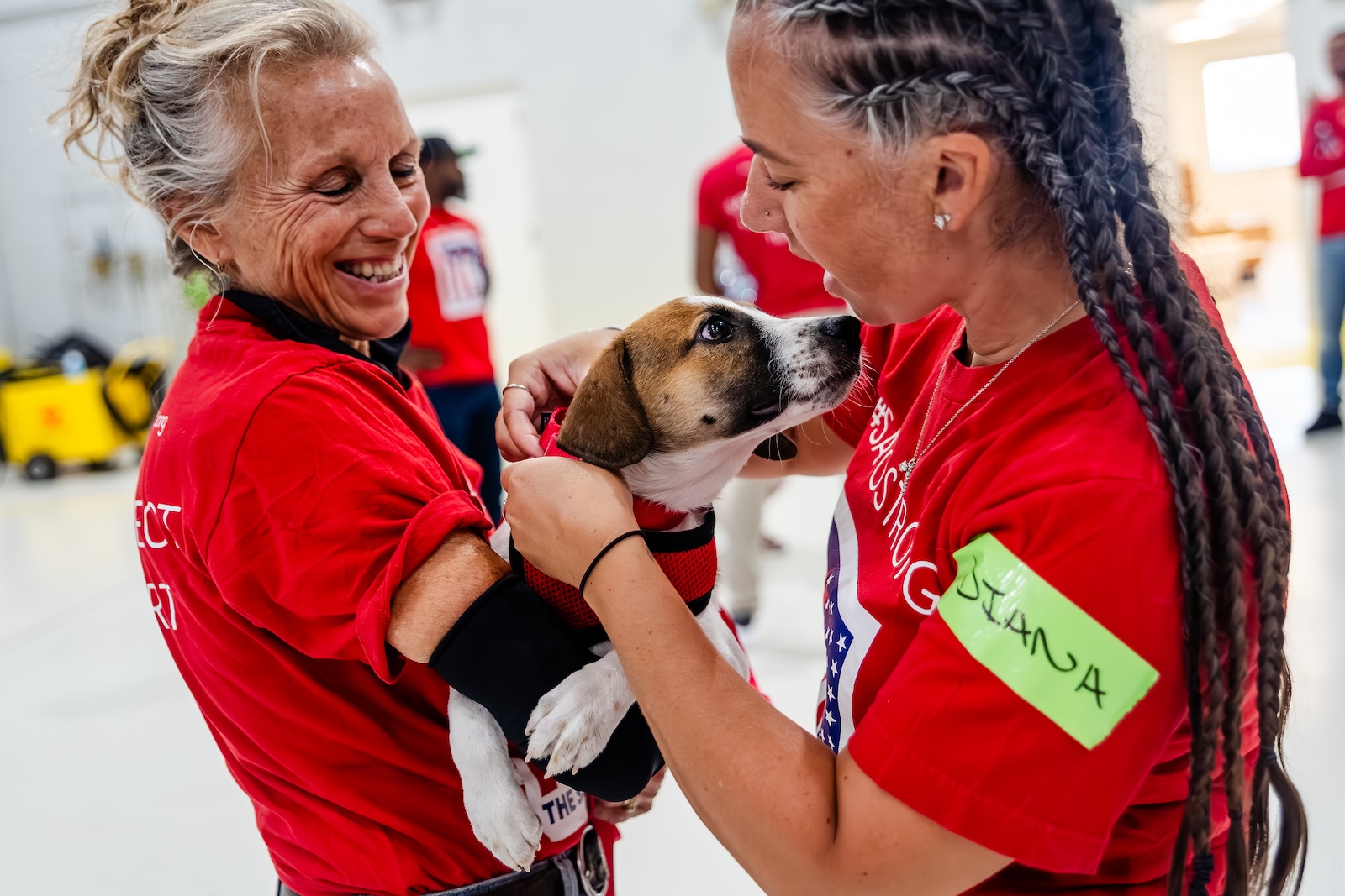 A Mission Possible 20 dog being checked by volunteers_©NYCPetPhotographer-StaceyAxelrod