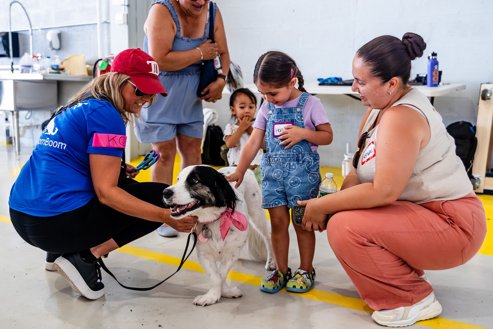 An adoptive family meets their lucky new member Project Sato