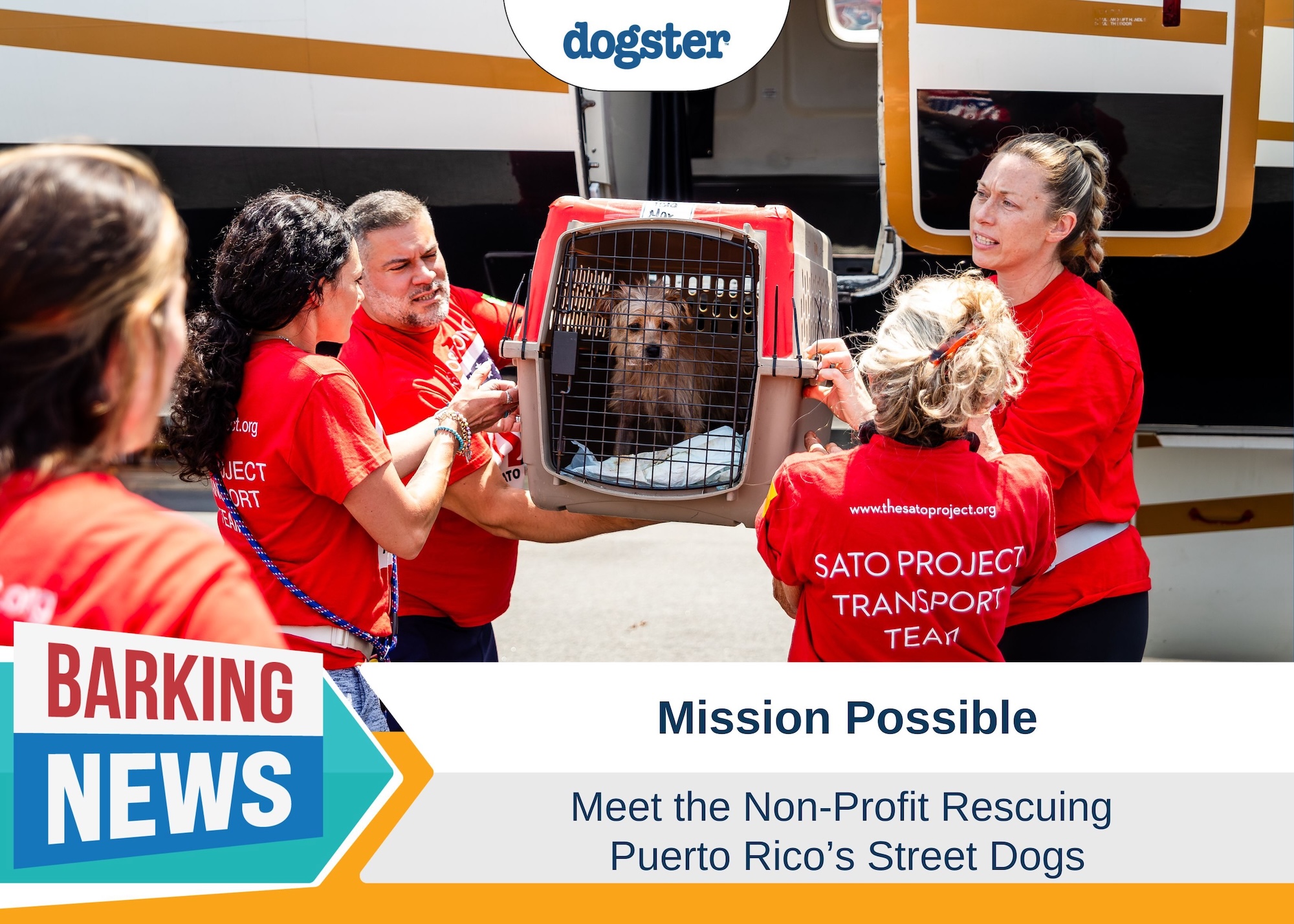 Barking News Mission Possible Sato Project
