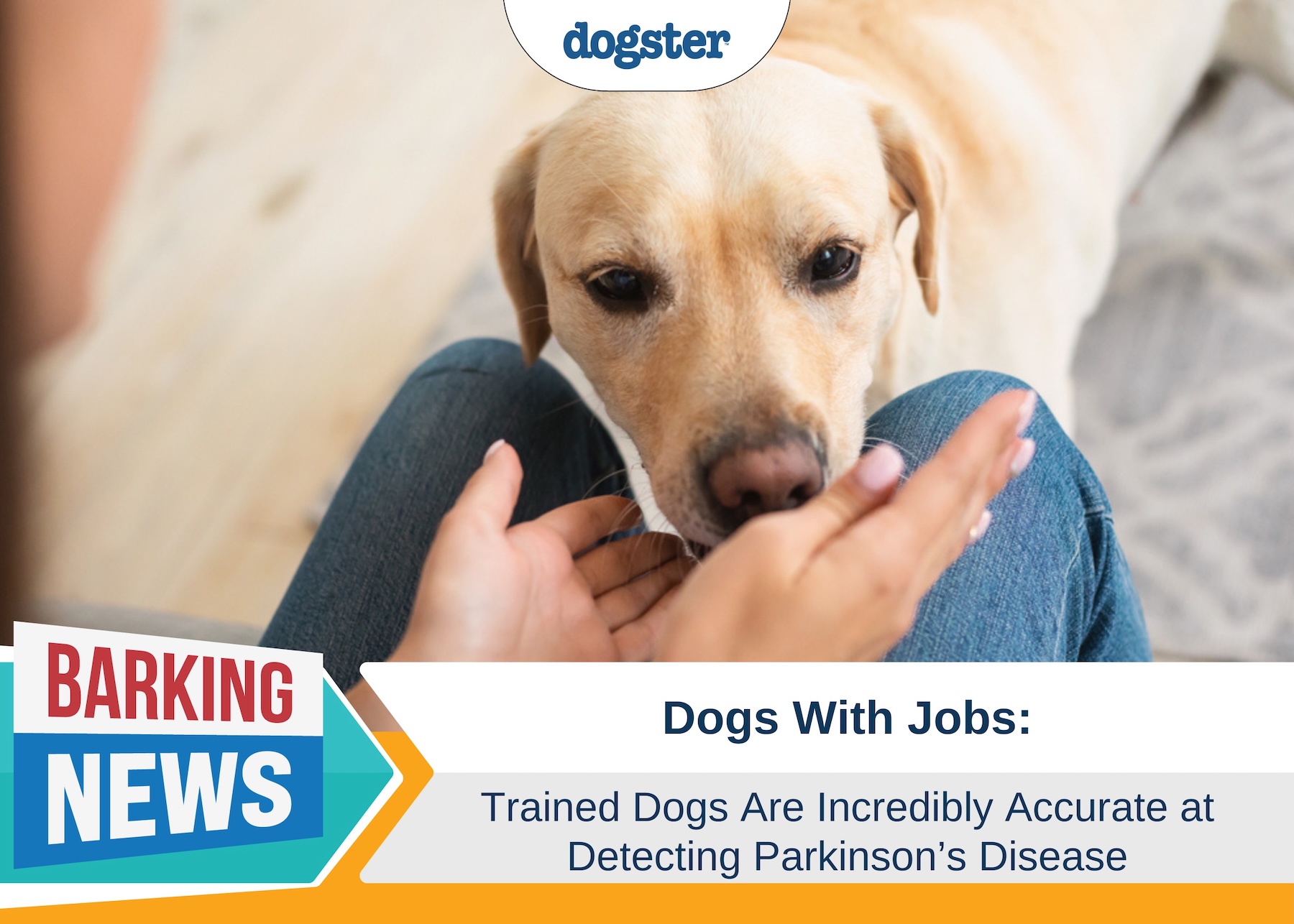 Barking News Trained Dogs Parkinsons