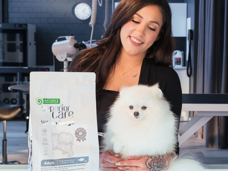 Superior Pet Care 1