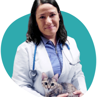 Picture of Dr. Paola Cuevas MVZ (Vet)