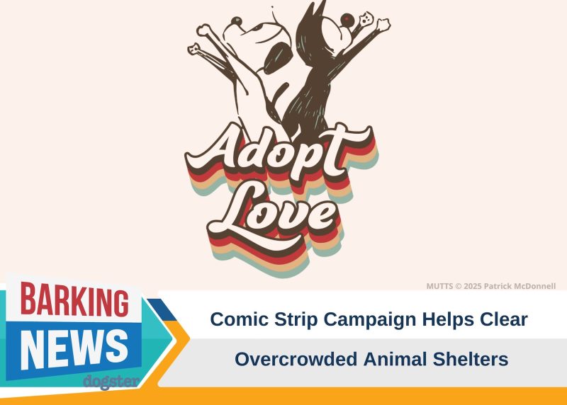 Barking News Adopt Love Campaign
