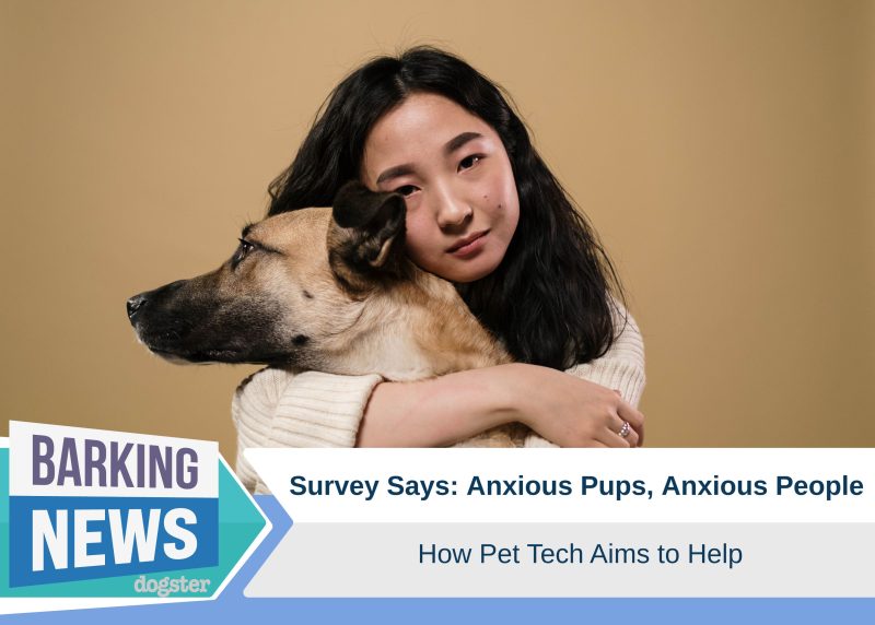 Survey Says: Anxious Pups, Anxious People – How Pet Tech Aims to Help
