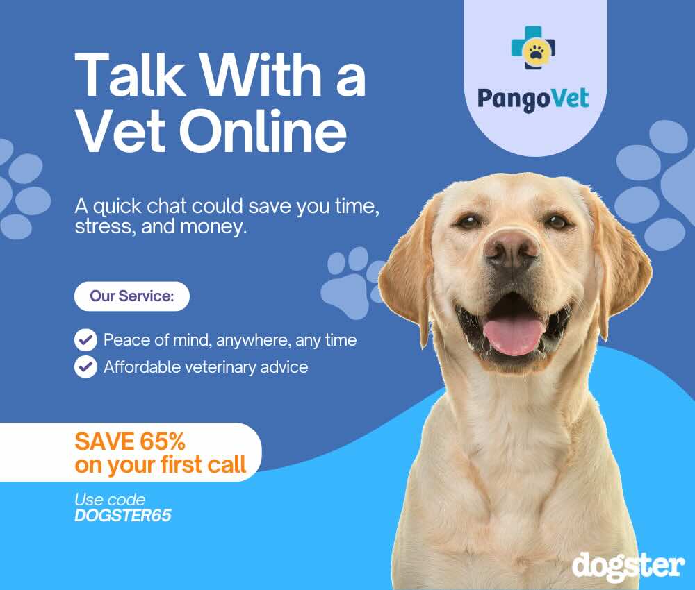 PangoVet_Mention-in-Content Savings V1