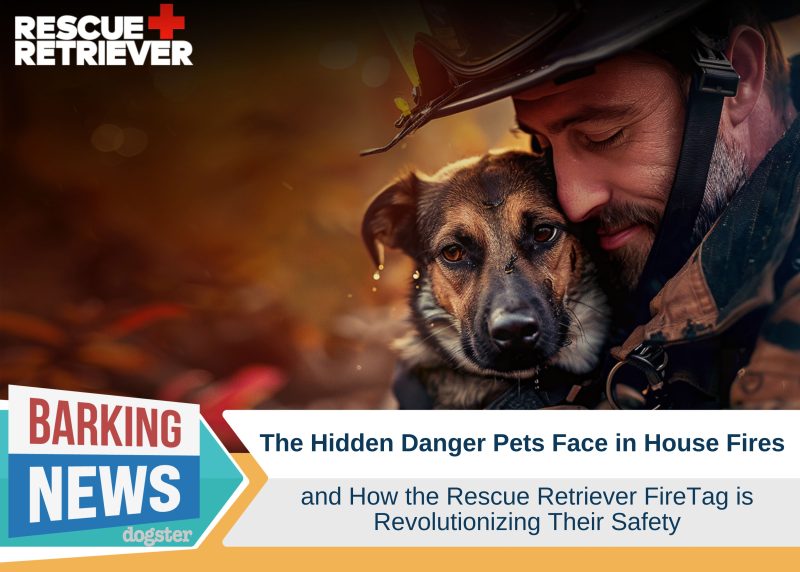 Dogster_Barking News Featured Image FireTag