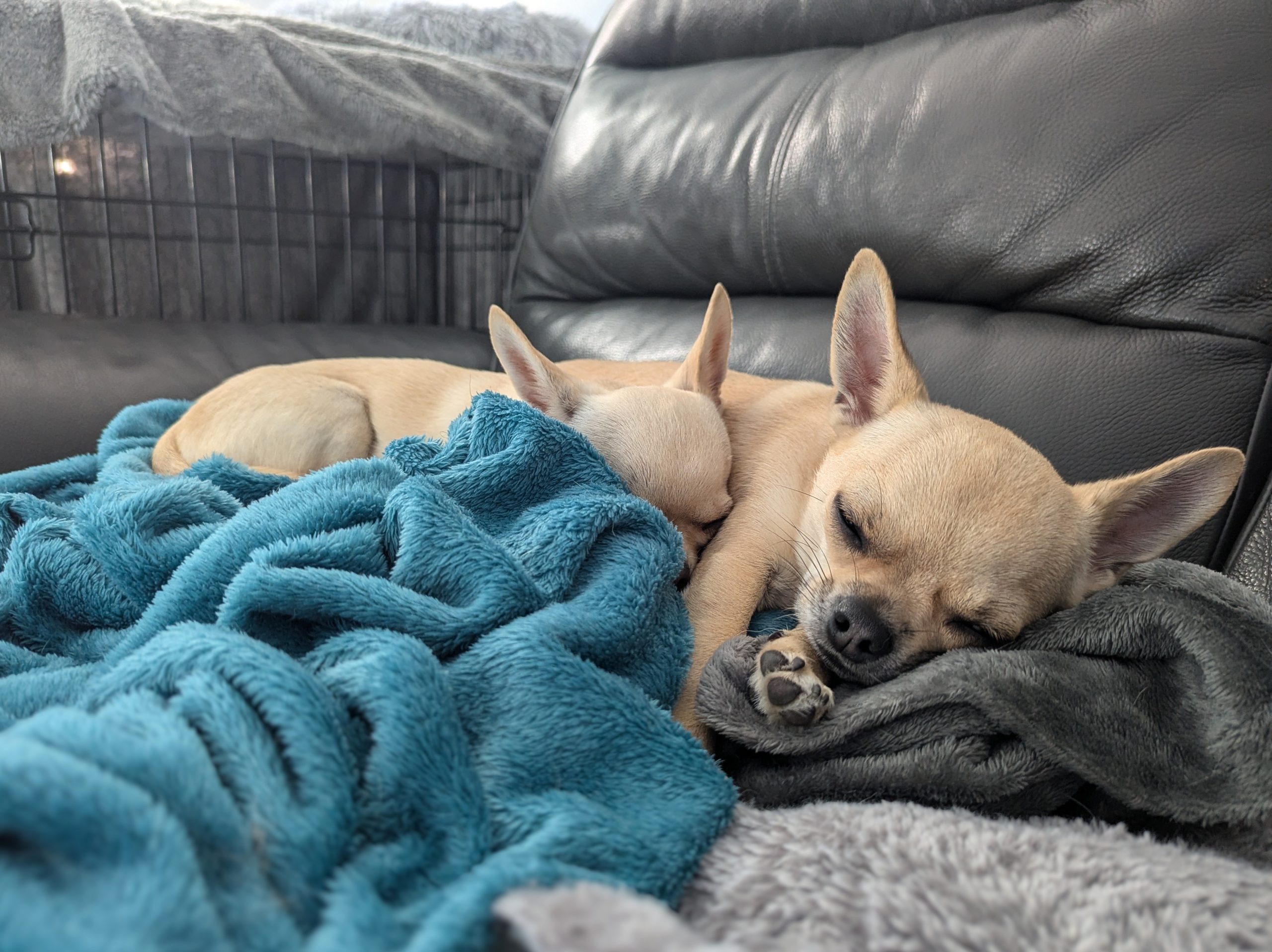 Relaxed Chis