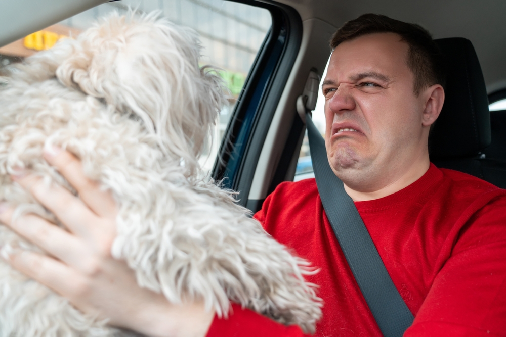 man-cringing-at-dog-smelly-breath