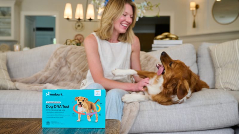 EmbarkVet Sponsored Post 3