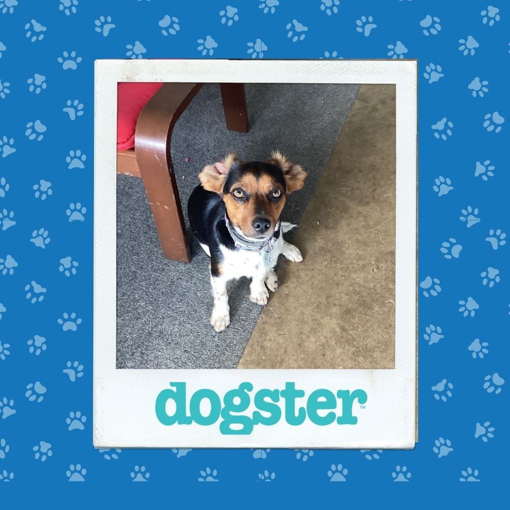 October 30 Winner (2)