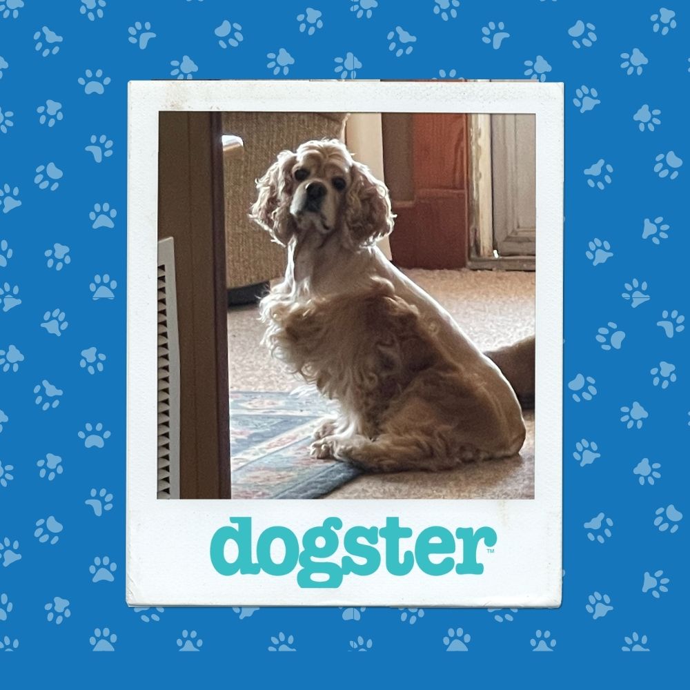 October 30 Winner (4)