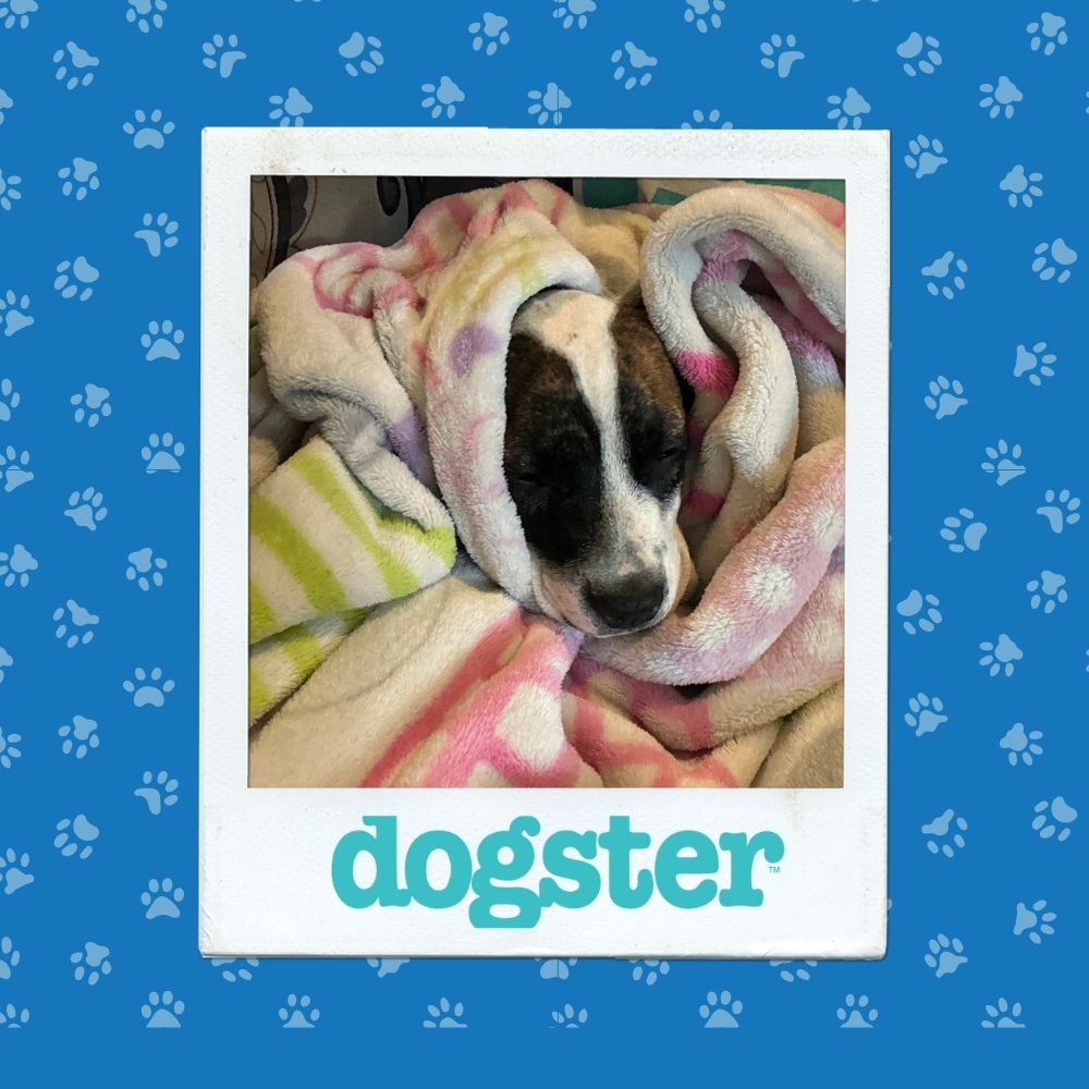 October 30 Winner (5)