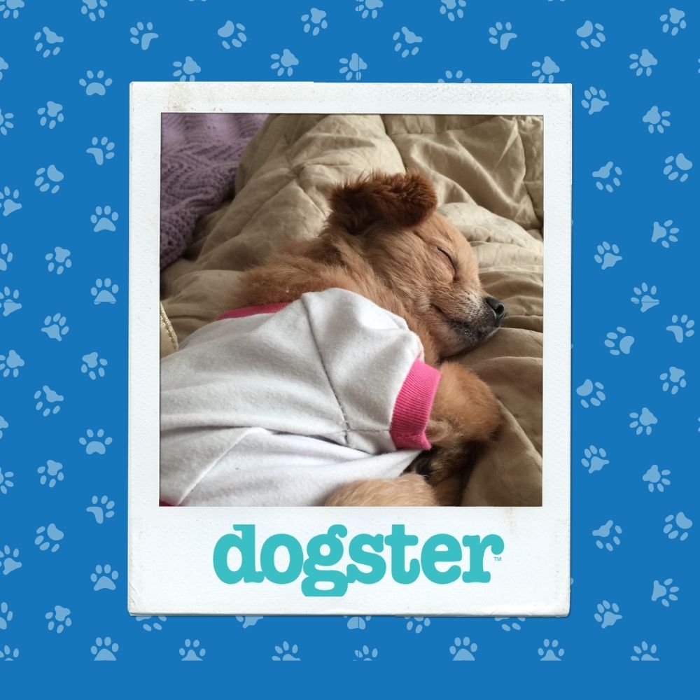 October 30 Winner (6)