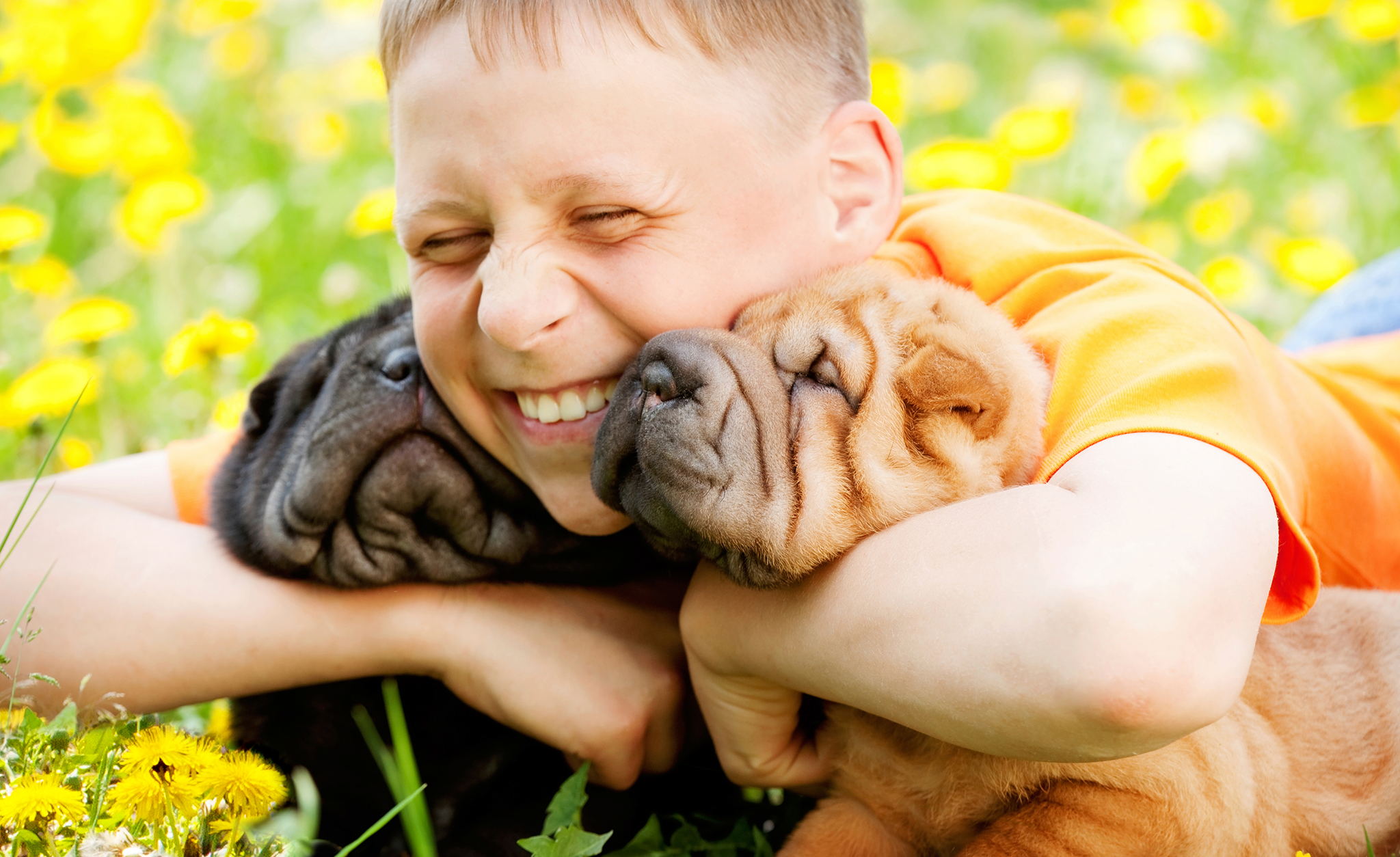 puppyspot-blog-04